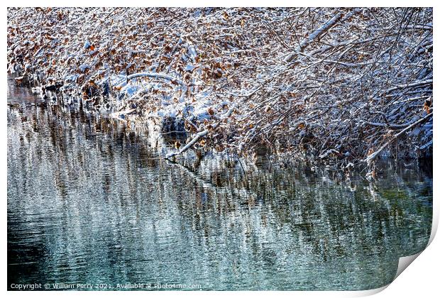 Winter Leaves Snow Ice  Abstract Wenatchee River Washngton Print by William Perry
