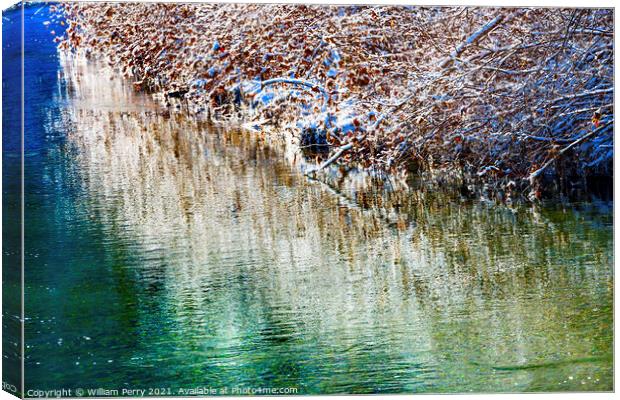 Winter Leaves Snow Ice  Abstract Wenatchee River Valley Leavenwo Canvas Print by William Perry