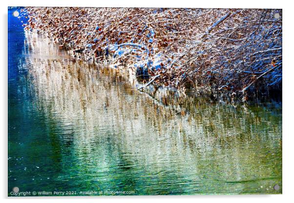 Winter Leaves Snow Ice  Abstract Wenatchee River Valley Leavenwo Acrylic by William Perry