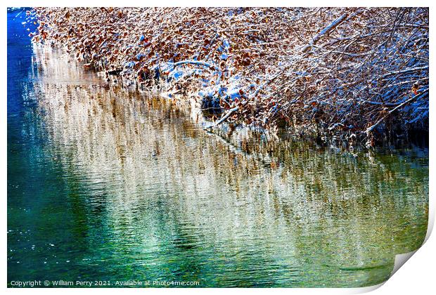 Winter Leaves Snow Ice  Abstract Wenatchee River Valley Leavenwo Print by William Perry