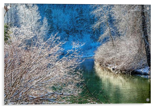 Winter Leaves Snow Ice  Wenatchee River Leavenworth Washinton Acrylic by William Perry