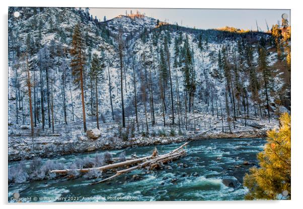 Winter Leaves Snow Ice  Wenatchee River Valley Leavenworth Washi Acrylic by William Perry