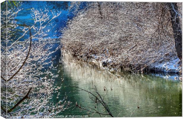 Winter Leaves Snow Ice  Wenatchee River Valley Leavenworth Washi Canvas Print by William Perry