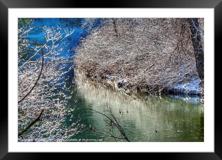 Winter Leaves Snow Ice  Wenatchee River Valley Leavenworth Washi Framed Mounted Print by William Perry