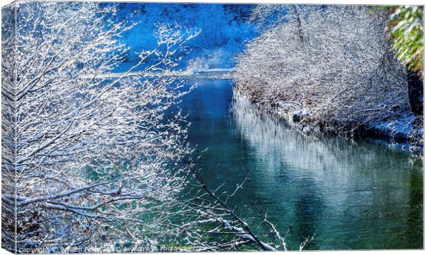 Winter Leaves Snow Ice  Wenatchee River Valley Leavenworth Washi Canvas Print by William Perry