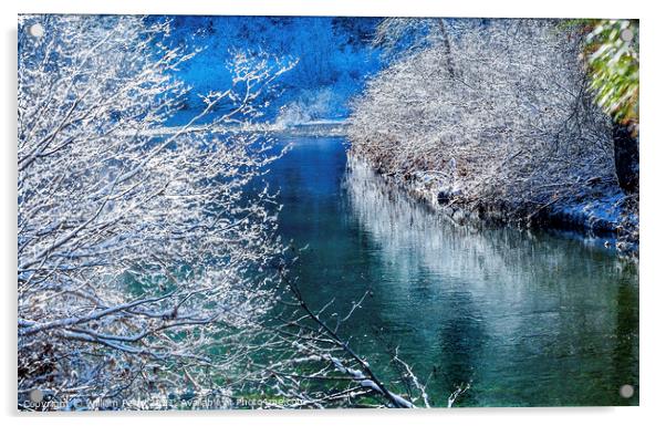 Winter Leaves Snow Ice  Wenatchee River Valley Leavenworth Washi Acrylic by William Perry