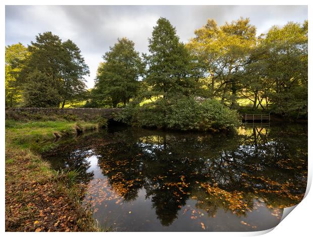 lumsdale falls Print by Jason Thompson