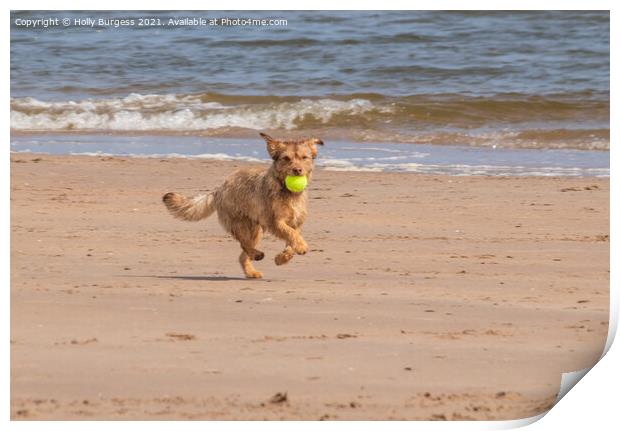 Terrier's Delightful Seaside Frolic Print by Holly Burgess