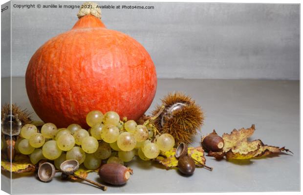 Pumpkin, chestnuts, husks, bunch of grapes, acorn and vine leave Canvas Print by aurélie le moigne