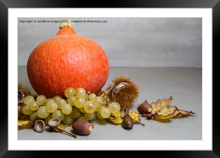 Pumpkin, chestnuts, husks, bunch of grapes, acorn and vine leave Framed Mounted Print by aurélie le moigne