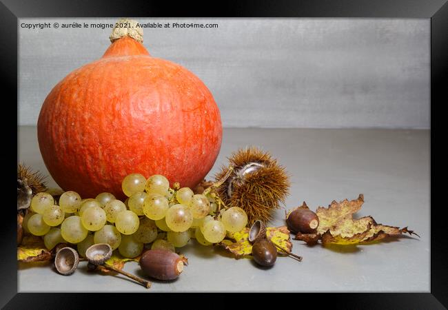 Pumpkin, chestnuts, husks, bunch of grapes, acorn and vine leave Framed Print by aurélie le moigne