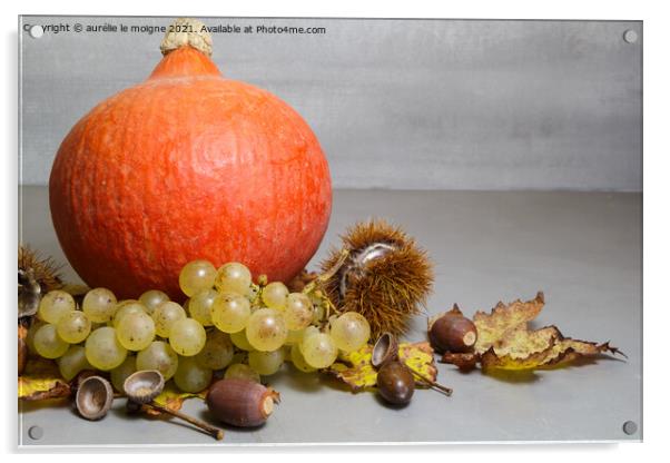 Pumpkin, chestnuts, husks, bunch of grapes, acorn and vine leave Acrylic by aurélie le moigne