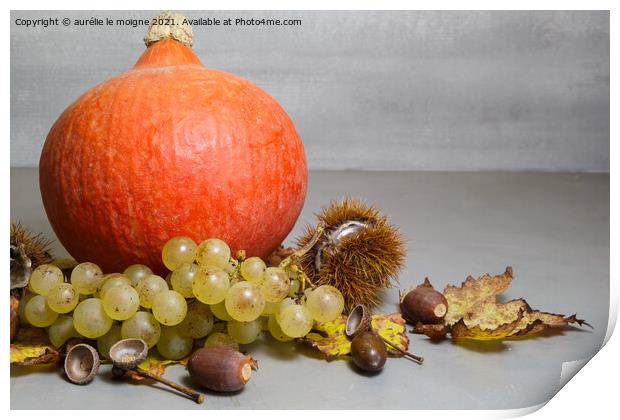 Pumpkin, chestnuts, husks, bunch of grapes, acorn and vine leave Print by aurélie le moigne