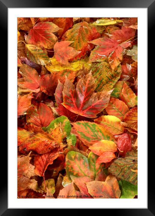 Autumn leaf Collage Framed Mounted Print by Simon Johnson