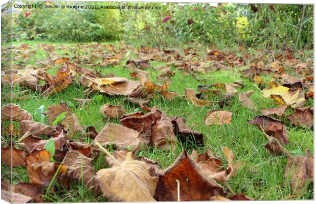 Dead leaves on grass Canvas Print by aurélie le moigne