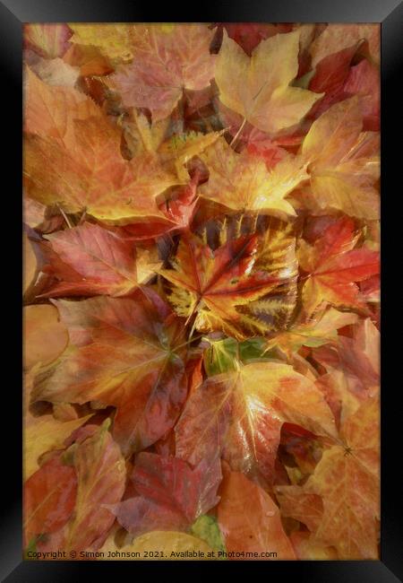 Autumn leaf Collage Framed Print by Simon Johnson