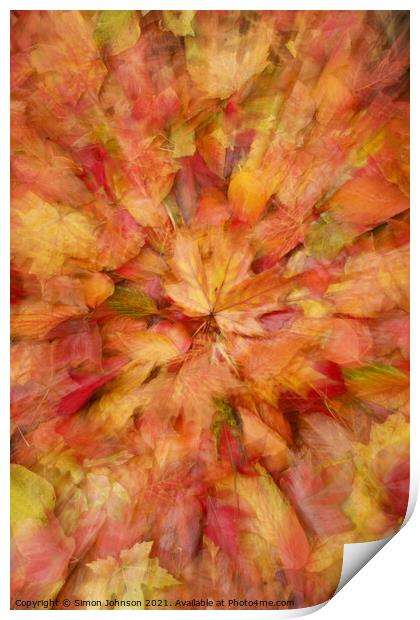  autumn leaf collage Print by Simon Johnson