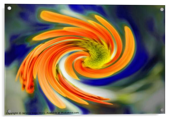 Vibrant Chrysanthemum Swirl Acrylic by Jeremy Sage