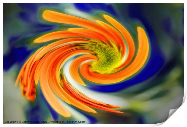 Vibrant Chrysanthemum Swirl Print by Jeremy Sage
