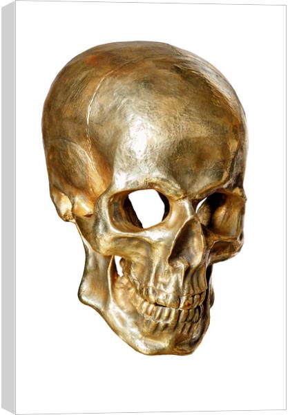 Human skull painted with gold paint isolated on white background. Canvas Print by Sergii Petruk