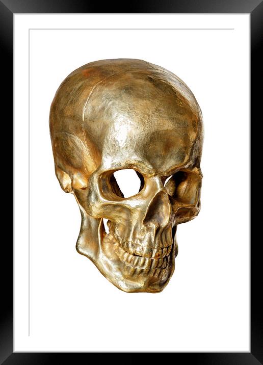 Human skull painted with gold paint isolated on white background. Framed Mounted Print by Sergii Petruk