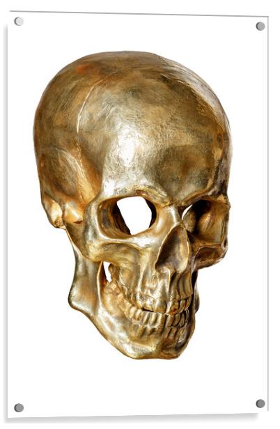 Human skull painted with gold paint isolated on white background. Acrylic by Sergii Petruk