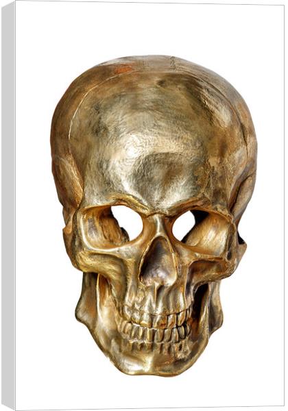 Human skull painted with gold paint, front view, isolated on white background. Canvas Print by Sergii Petruk
