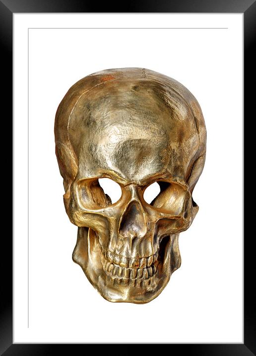 Human skull painted with gold paint, front view, isolated on white background. Framed Mounted Print by Sergii Petruk