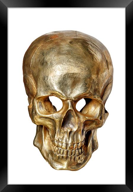 Human skull painted with gold paint, front view, isolated on white background. Framed Print by Sergii Petruk