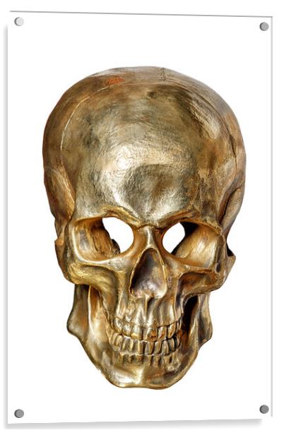 Human skull painted with gold paint, front view, isolated on white background. Acrylic by Sergii Petruk