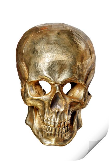Human skull painted with gold paint, front view, isolated on white background. Print by Sergii Petruk