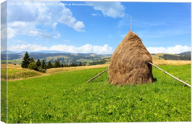 Haystack in the Carpathians on a green meadow against the backdrop of mountain hills. Canvas Print by Sergii Petruk