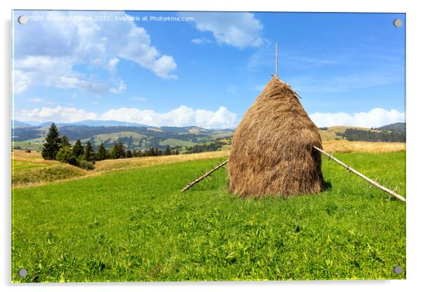 Haystack in the Carpathians on a green meadow against the backdrop of mountain hills. Acrylic by Sergii Petruk
