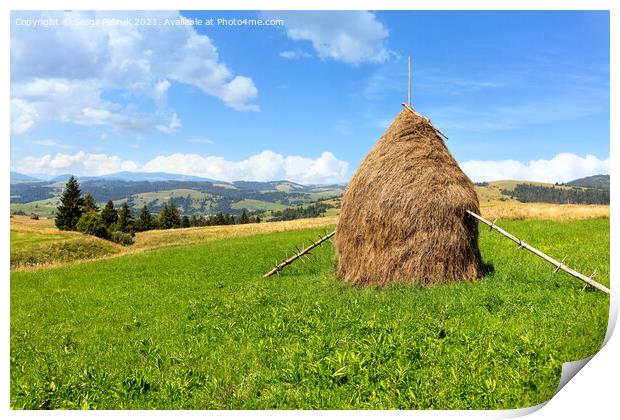 Haystack in the Carpathians on a green meadow against the backdrop of mountain hills. Print by Sergii Petruk