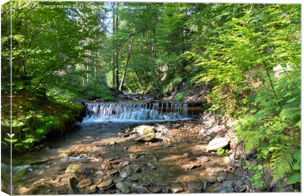 Mountain river among the green Carpathian forest on a bright sunny day. Canvas Print by Sergii Petruk