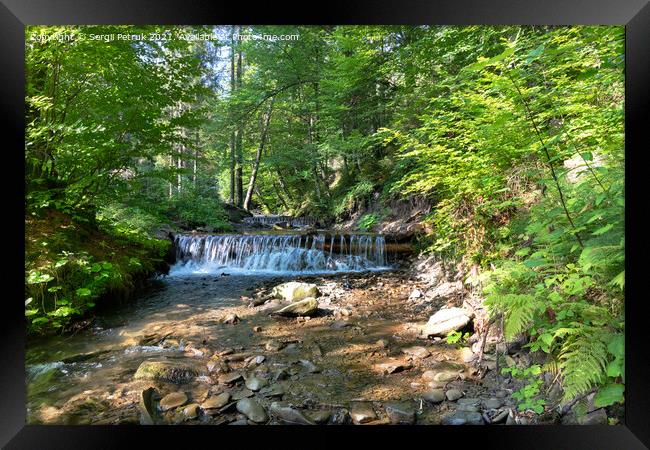 Mountain river among the green Carpathian forest on a bright sunny day. Framed Print by Sergii Petruk