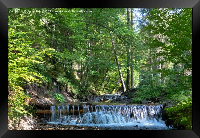 The beautiful water of a mountain river shimmers in the rays of daylight on a sunny day in the Carpathian forest. Framed Print by Sergii Petruk