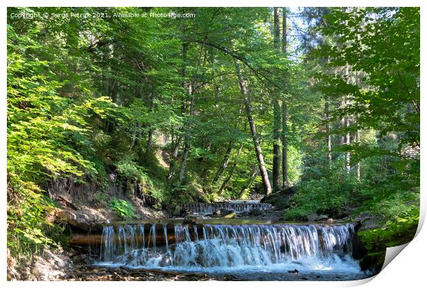 The beautiful water of a mountain river shimmers in the rays of daylight on a sunny day in the Carpathian forest. Print by Sergii Petruk
