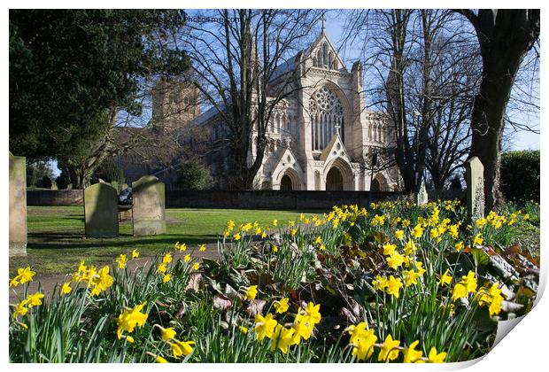 Spring in St Albans Print by Jo Sowden