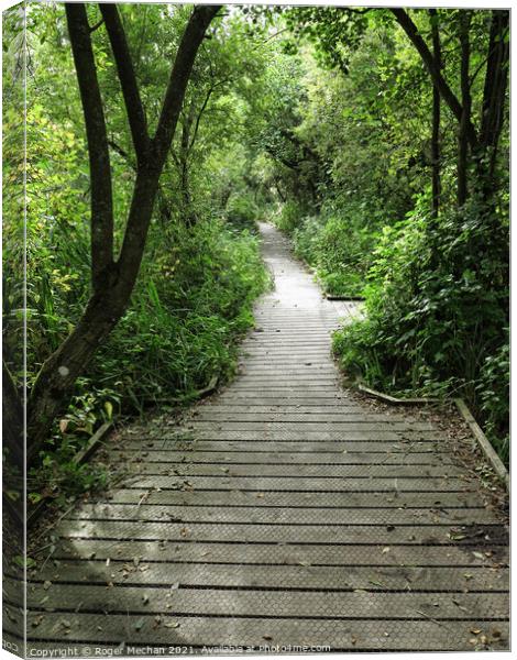 Enchanting Forest Trail Canvas Print by Roger Mechan