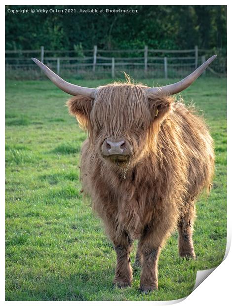 Highland Cow standing in a field Print by Vicky Outen