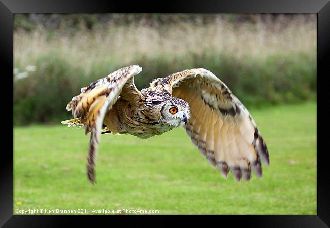 European Eagle Owl in Flight Framed Print by Oxon Images