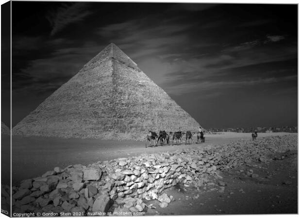 Pyramid Series: Khafre Camel Train Canvas Print by Gordon Stein