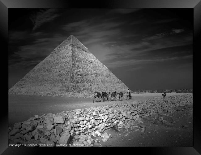 Pyramid Series: Khafre Camel Train Framed Print by Gordon Stein