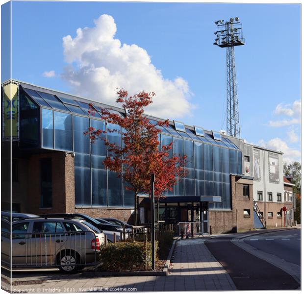 Pierre Cornelis Stadium, Aalst, Belgium Canvas Print by Imladris 