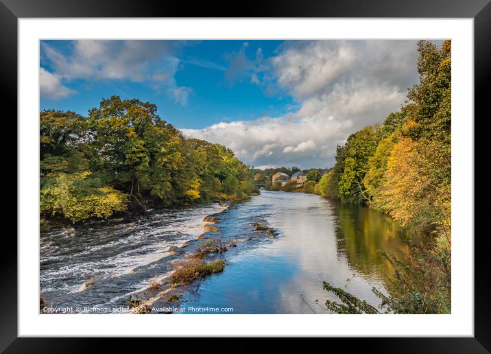Autumn Colours and Sun on the Tees at Barnard Castle Framed Mounted Print by Richard Laidler