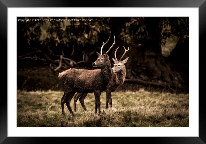 Looking Back Framed Mounted Print by keith sayer