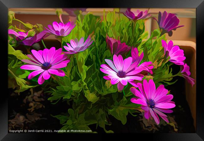 Vibrant Floral Awakening - CR2105-5284-PIN-R Framed Print by Jordi Carrio