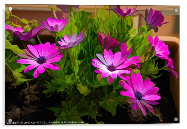 Vibrant Floral Awakening - CR2105-5284-PIN-R Acrylic by Jordi Carrio
