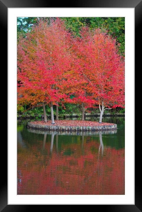 Autumn Reflections  Framed Mounted Print by Philip Enticknap
